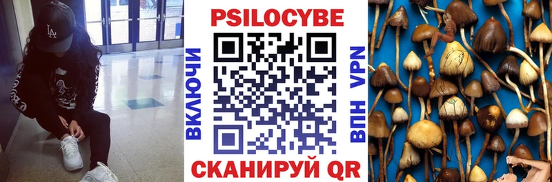 где продают наркотики  Грайворон  Галлюциногенные грибы прущие грибы 